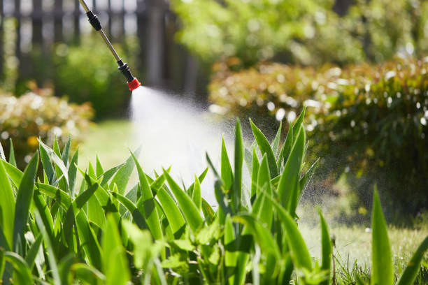 24/7 Emergency Ant Control experts in Bridgman, MI