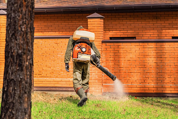 Top rated local Ant Control specialists in Bridgman, MI